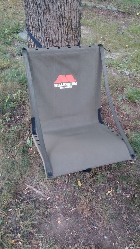 Millennium Tree Seat